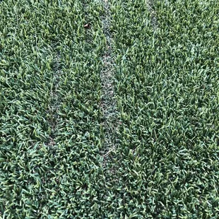 Up close damage from furniture