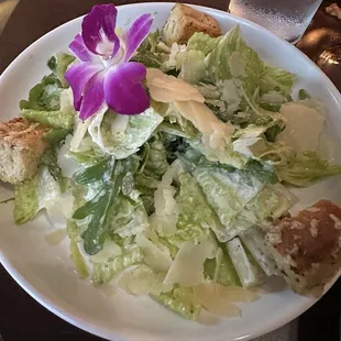 Caesar Salads