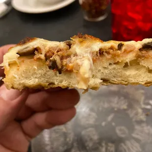 Crust cross section