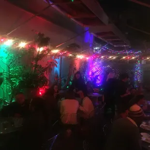 The outdoor garden patio at night