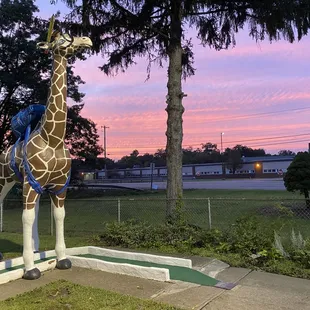 Jupiter is dressed and ready for school!