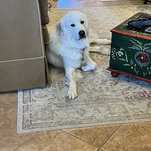 Har