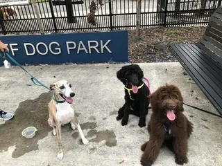 Metairie Park