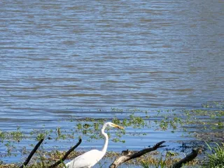 Gretna City Park