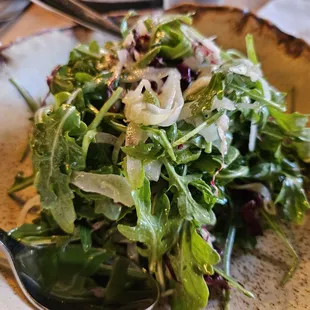 Arugula salad