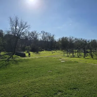 Wonderful green grounds (it'll be brown during Summer).