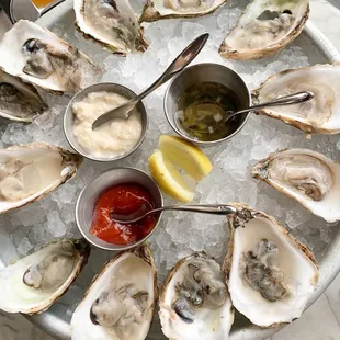 Oysters