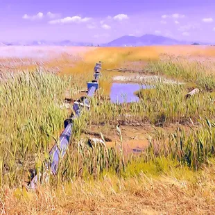 Marsh Observation Area Trailhead