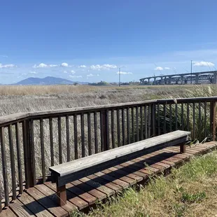 Marsh Observation Area Trailhead