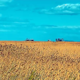 Marsh Observation Area Trailhead