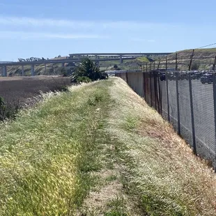Marsh Observation Area Trail