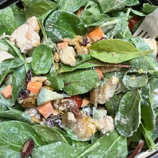 winter salad with chicken