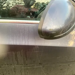 Passenger side door and mirror