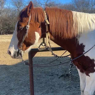 Cherokee :)