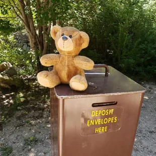 Be careful, there is a bear on this trail.