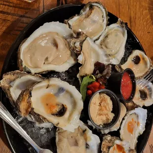 HUGE gulf oysters.