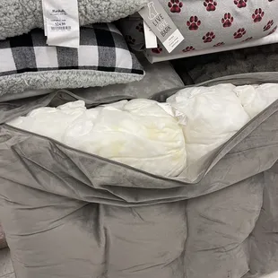 Used dog bed with pee