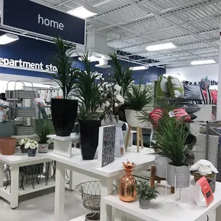 Home section