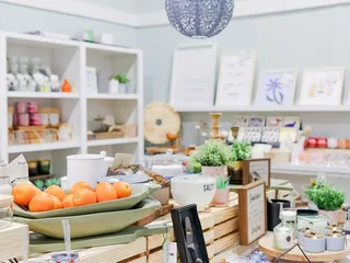 Painted Tree Boutiques - Edmond