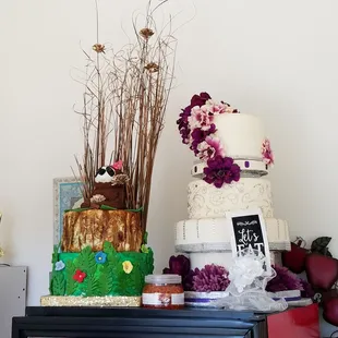 Zoobilation Cake for the Sloths and another decorative cake