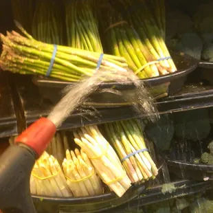 Just watering the vegetables... You&apos;re welcome!
