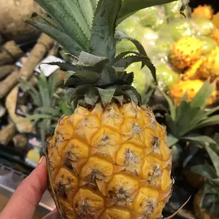 a pineapple