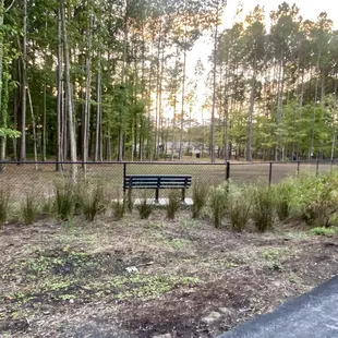 One of three new dog parks
