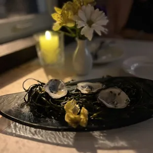 a plate of oysters
