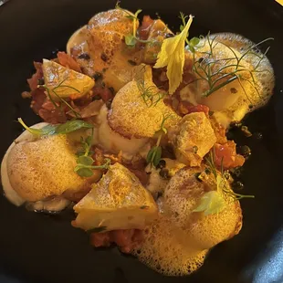 Scallops