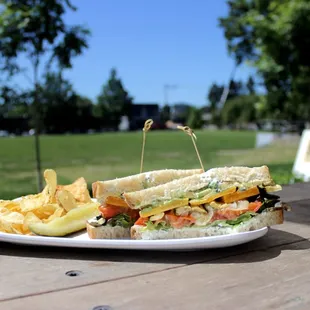 For a vegetarian/vegan option try the Juice Newton!