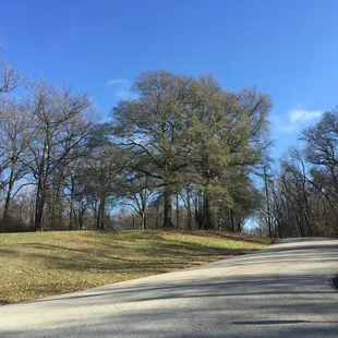 2016-01-10 13.27.28; Martin Luther King Riverside Park, Memphis TN