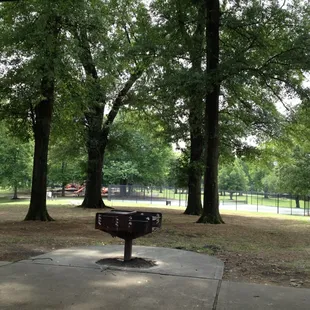 2012-06-04; Martin Luther King Park, Memphis TN
