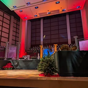 stage with christmas decorations