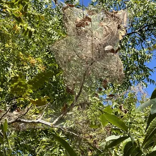 Martin Park Nature Center