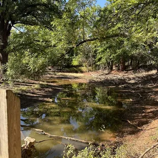 Creek