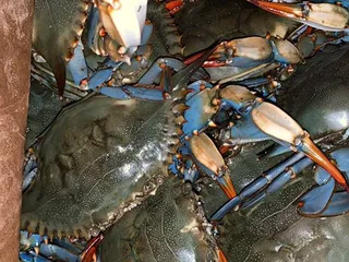 Capt'n Franks Seafood