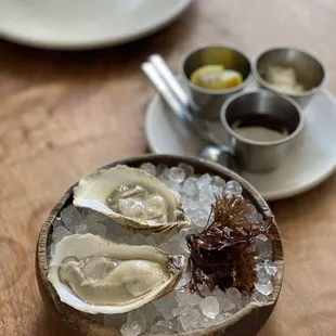 oysters and mussels, mussels, food, shellfish, oysters