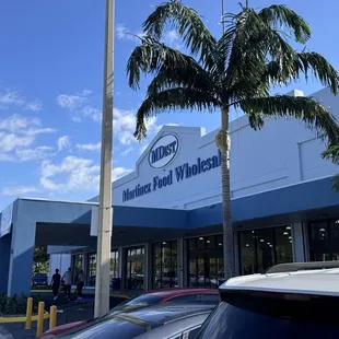 a palm tree in front of a store