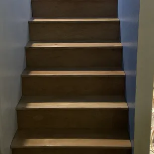 a dog walking up a flight of stairs