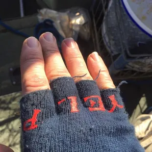 Yelp swag for good luck. 2 fish in already!