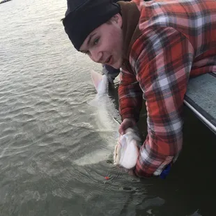 Grass shrimp from Martinez bait and tackle &amp; 1st sturgeon of the day! Diamond classic derby. Skills courtesy of my boy.