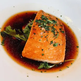 Salmon