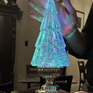 Holiday decor.  So cool!