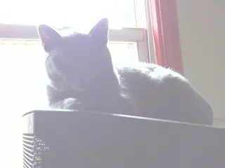 The Hillside Gastro Pub