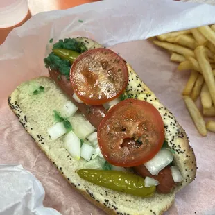 Chicago Dog
