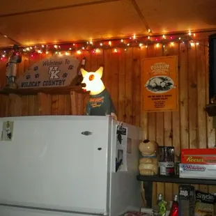 a dog on top of a refrigerator