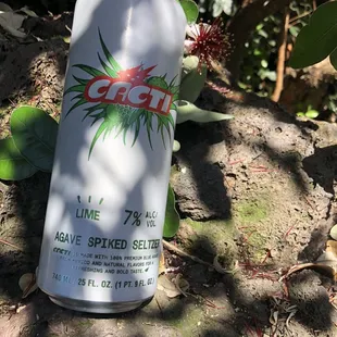 "Cacti" (3.99) agave spiked seltzer . 7%. Worthy!