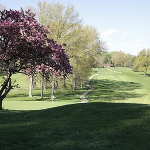 View from 3 green looking back towards the tee.