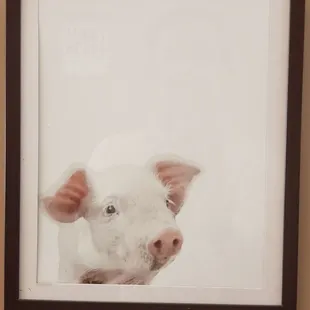 Artwork at Marti's place