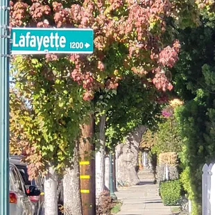 Street where Neighborhood where Marti's place is located.